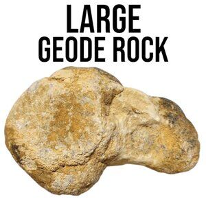 LARGE Jumbo Geode Rock Gems and Minerals Earth Science Break Open Science Kit